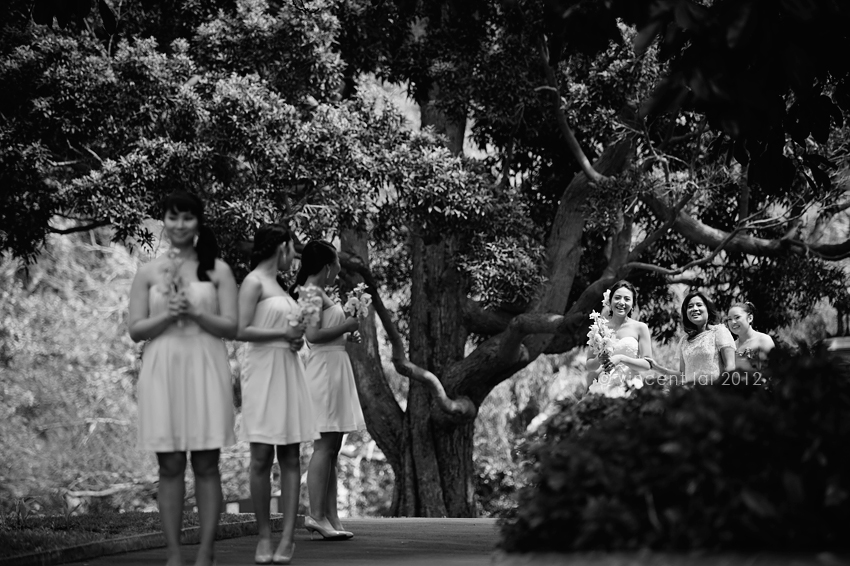 Royal Botanic Gardens Sydney Wedding